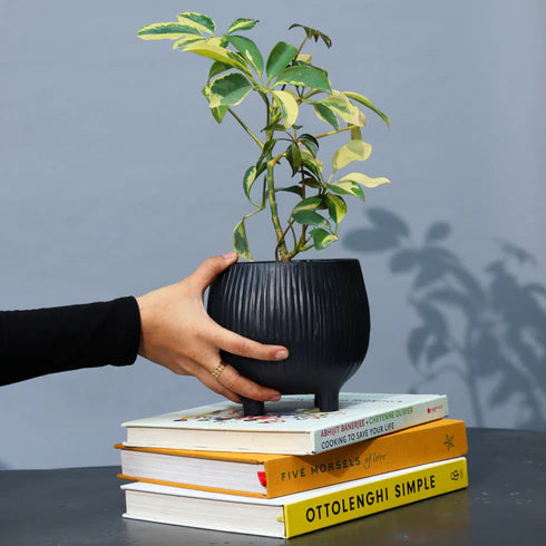Aden Organic Planter Black