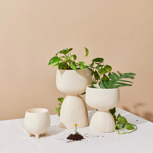 Aden Organic Planter White