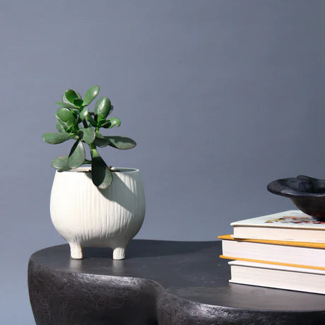 A white, marble dust planter
